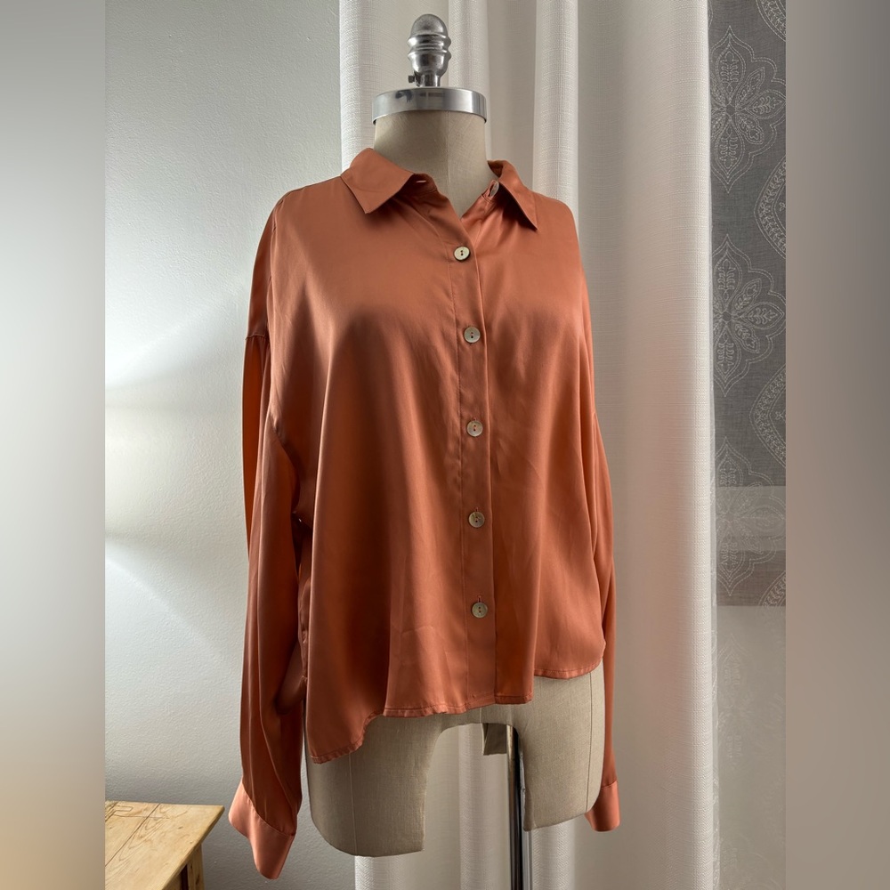 Joie Terracotta Button-Down Silk Shirt